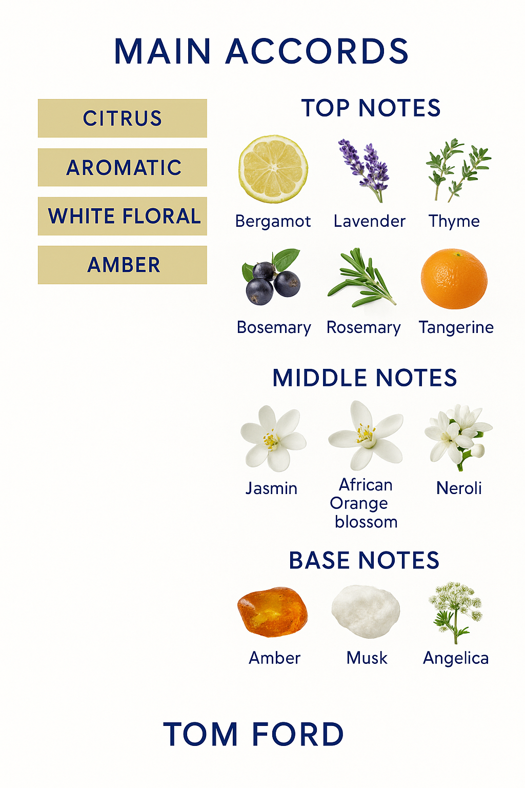 Tom Ford Neroli Portofino Eau de Parfum 100ml.