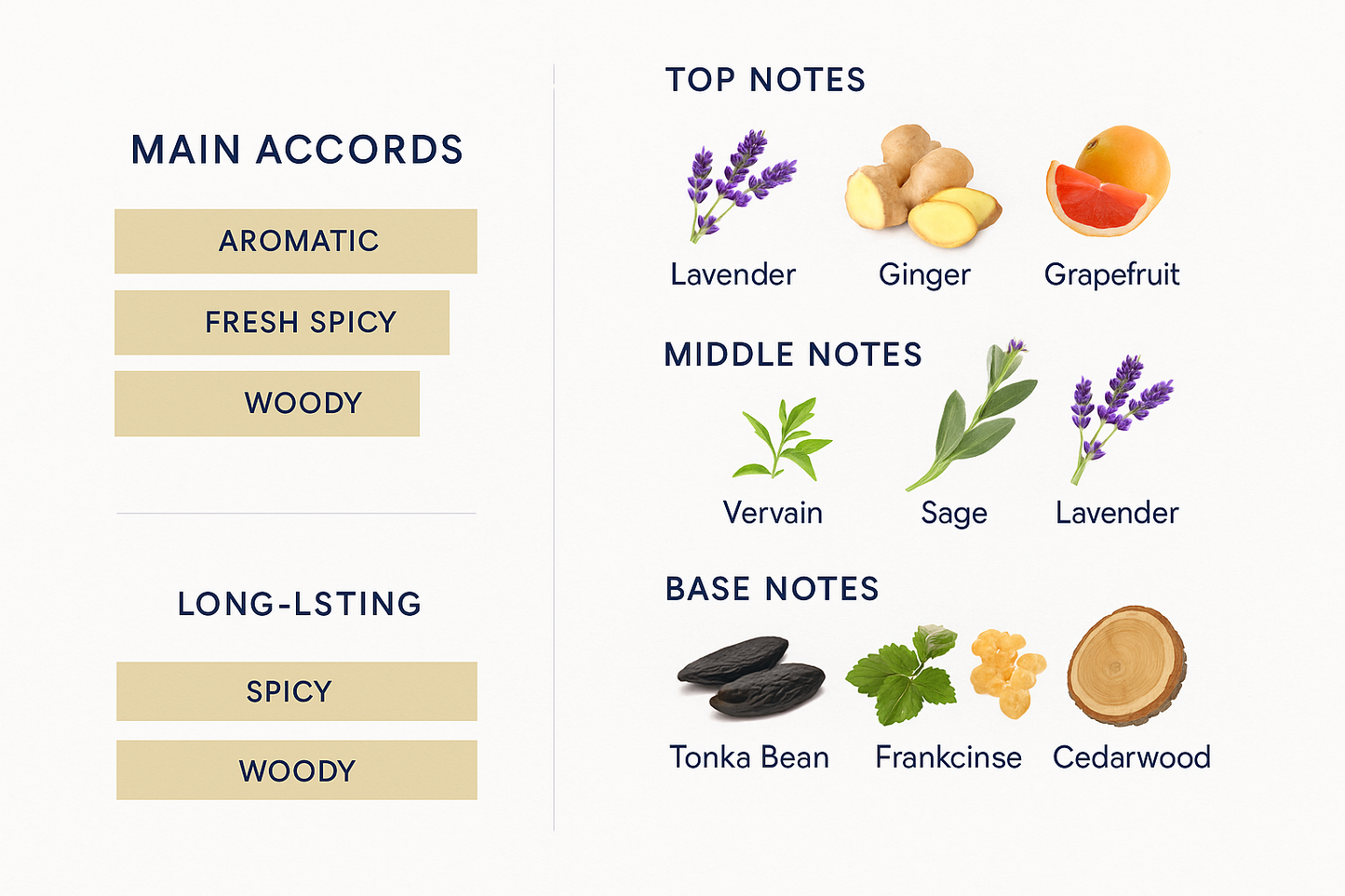 Yves Saint Laurent Y Le Parfum 100ml.