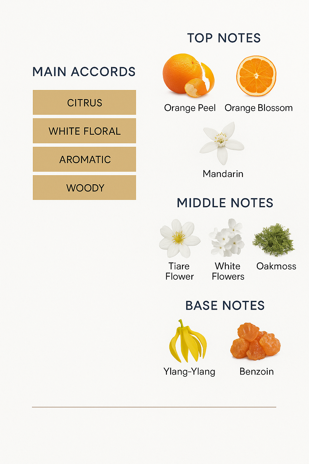 Olympea Solar by Paco Rabanne Eau de Parfum Intense 80ml (Tester)