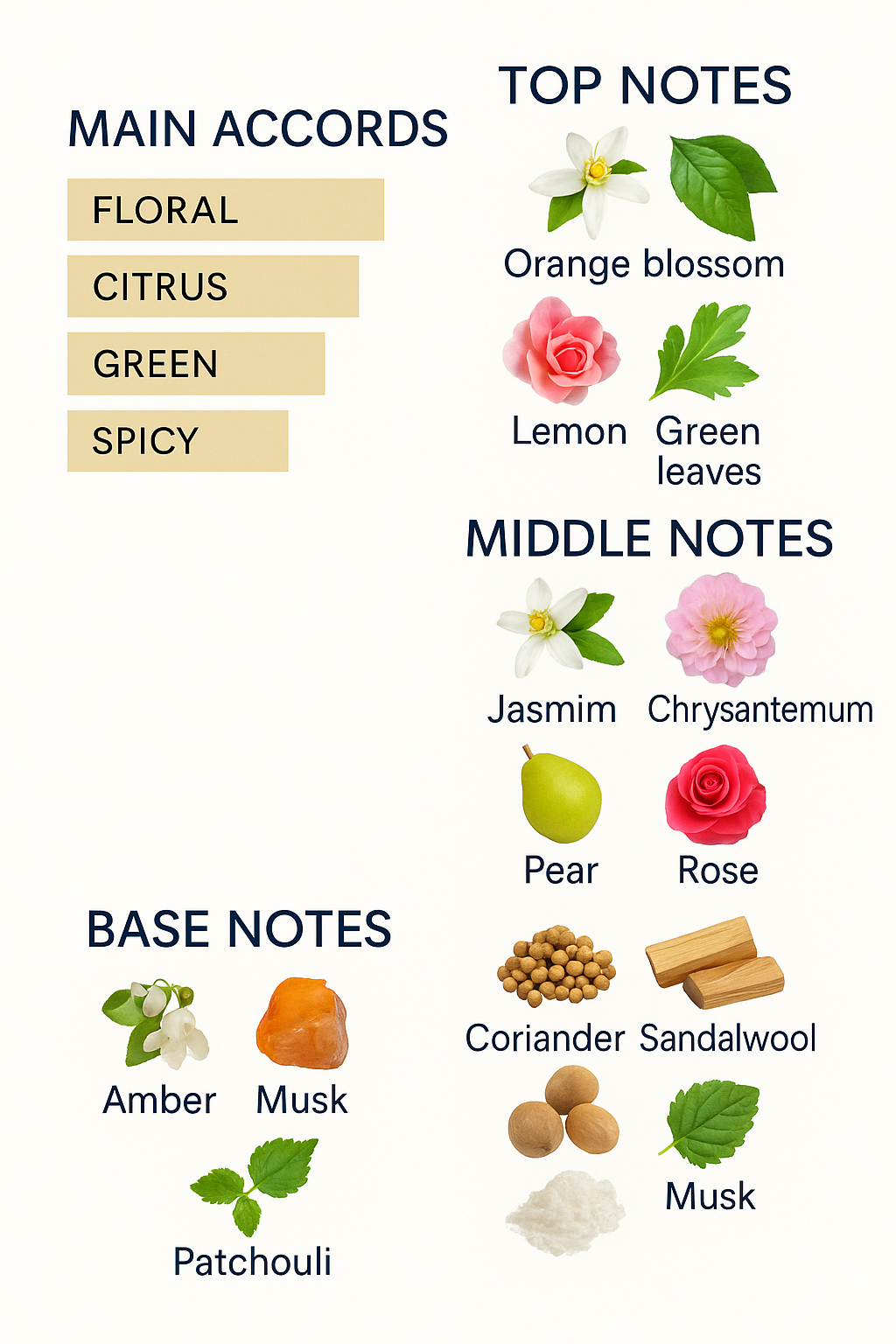 Estée Lauder Private Collection Eau de Parfum – 50ml.