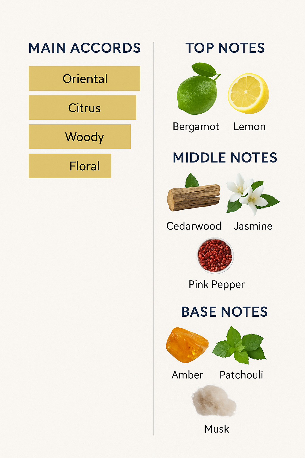 Roja Apex Pour Homme Parfum Cologne 100ml