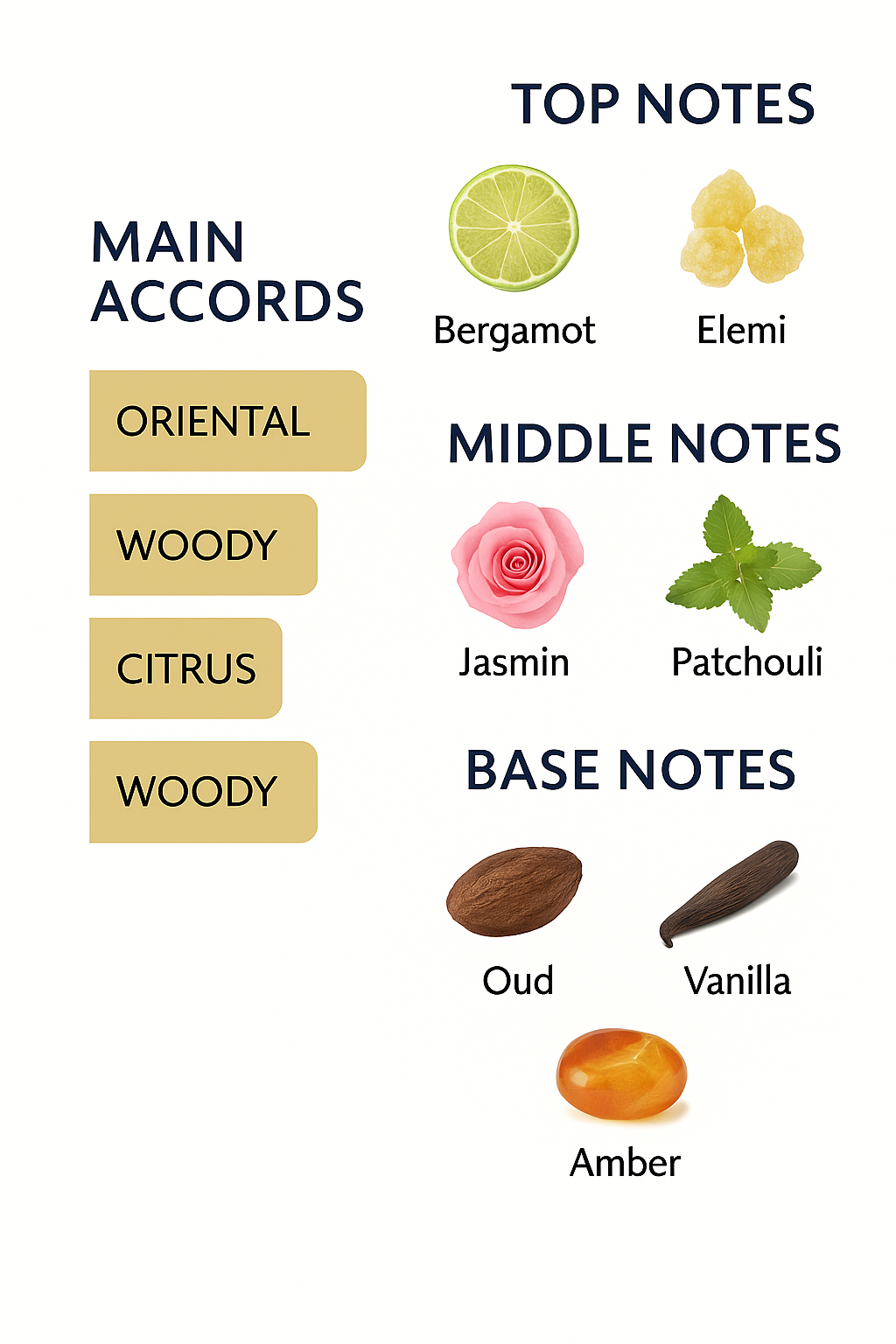 Maison Francis Oud Extrait de Parfum 70ml