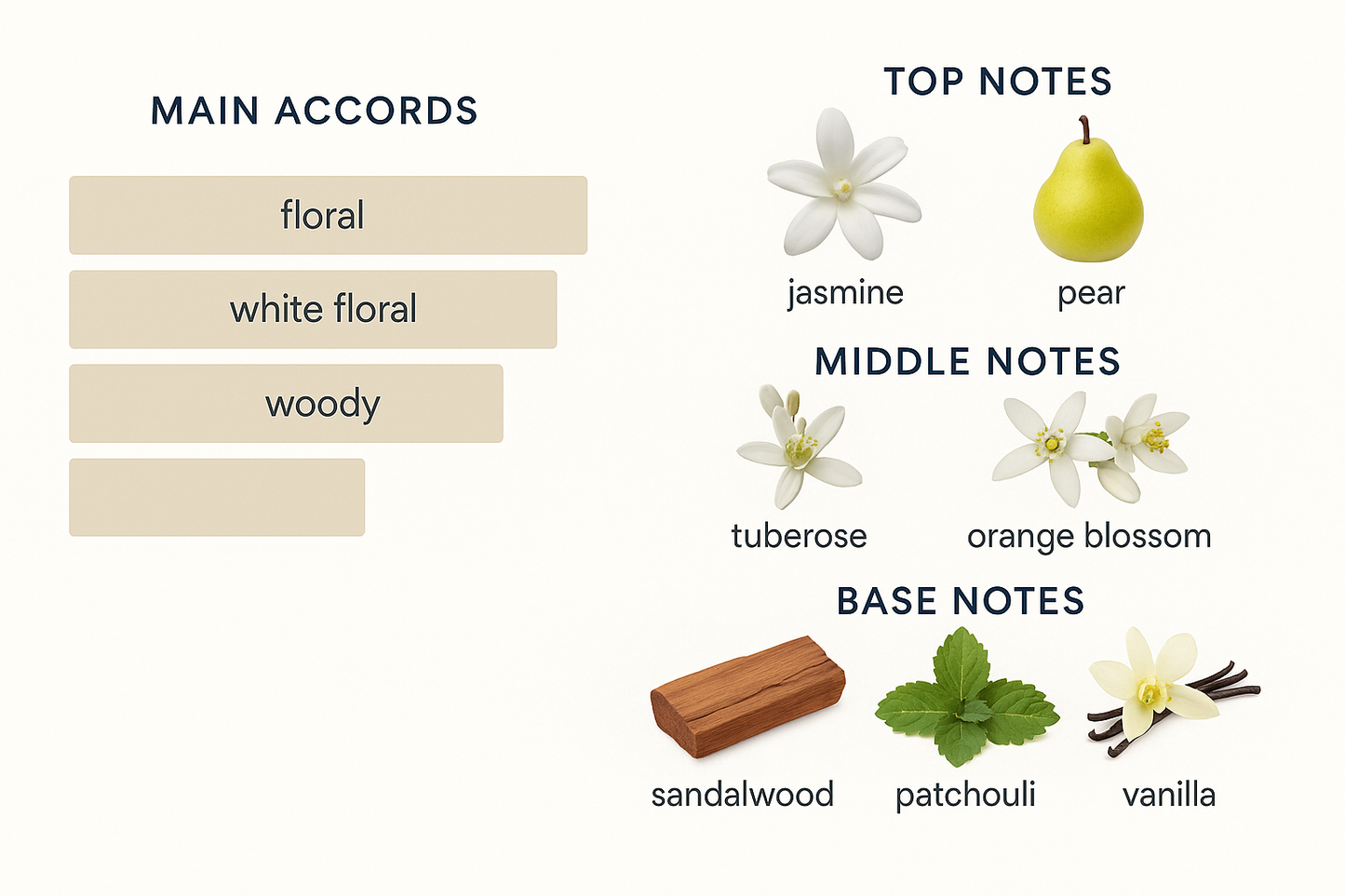 Gucci Bloom Eau de Parfum for Women 100ml