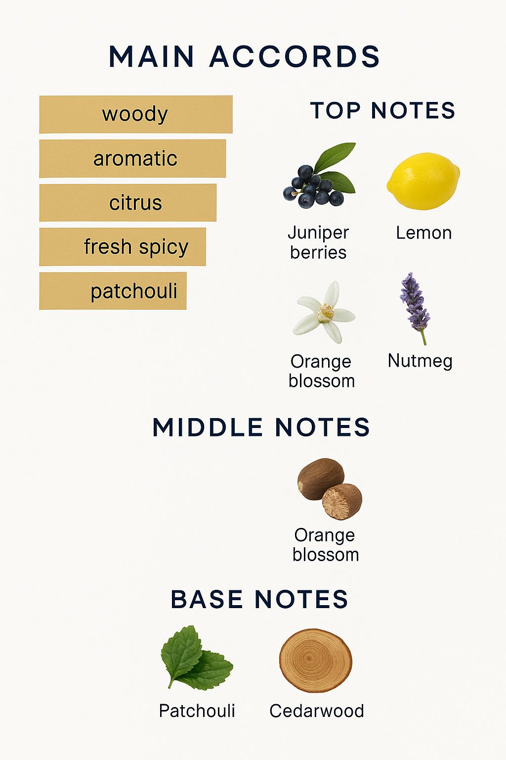 Gucci Guilty Pour Homme Eau de Parfum for Men 90ml