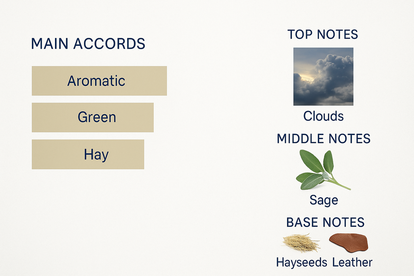 Memo Irish Leather Hair Mist 80ml