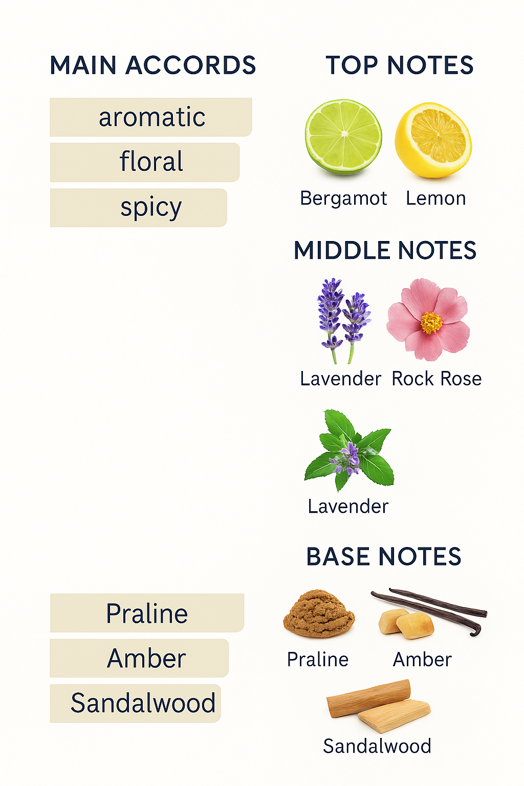 Clive Christian Queen Anne Rock Rose 50ml