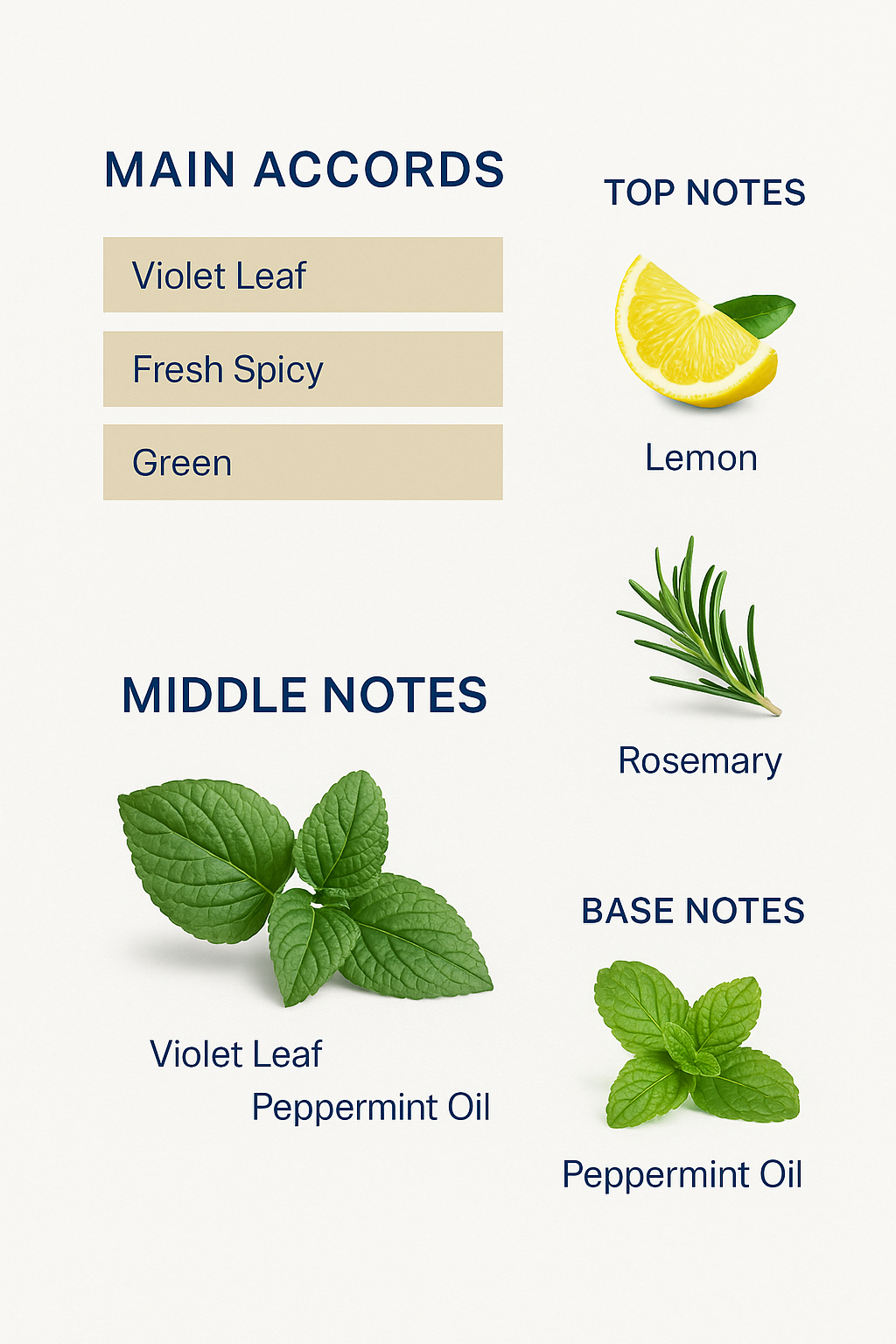 Burberry Mr. Burberry Indigo Eau de Toilette for men 150ml