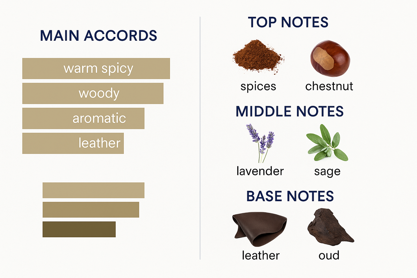 Stronger With You Leather Armani Eau de Parfum for Men 100ml.