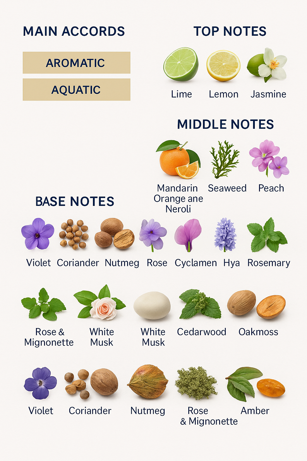 Armani Acqua Di Gio Pourhomme Eau de Toilette for men 100ml.