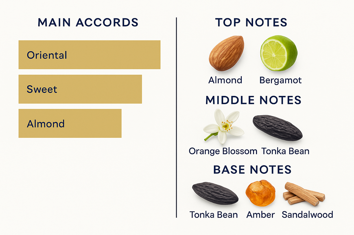 Velvet Tonka by PDK Eau de Parfum 100 ml