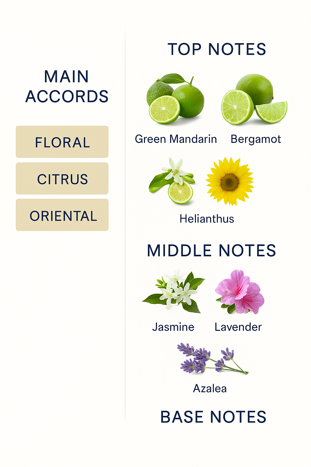 Trussardi My Name Eau de Parfum for Women – 100ml.