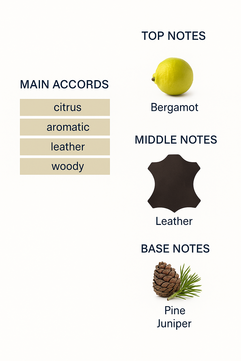 Bottega Veneta Pour Homme Eau de Toilette for Men 90ml