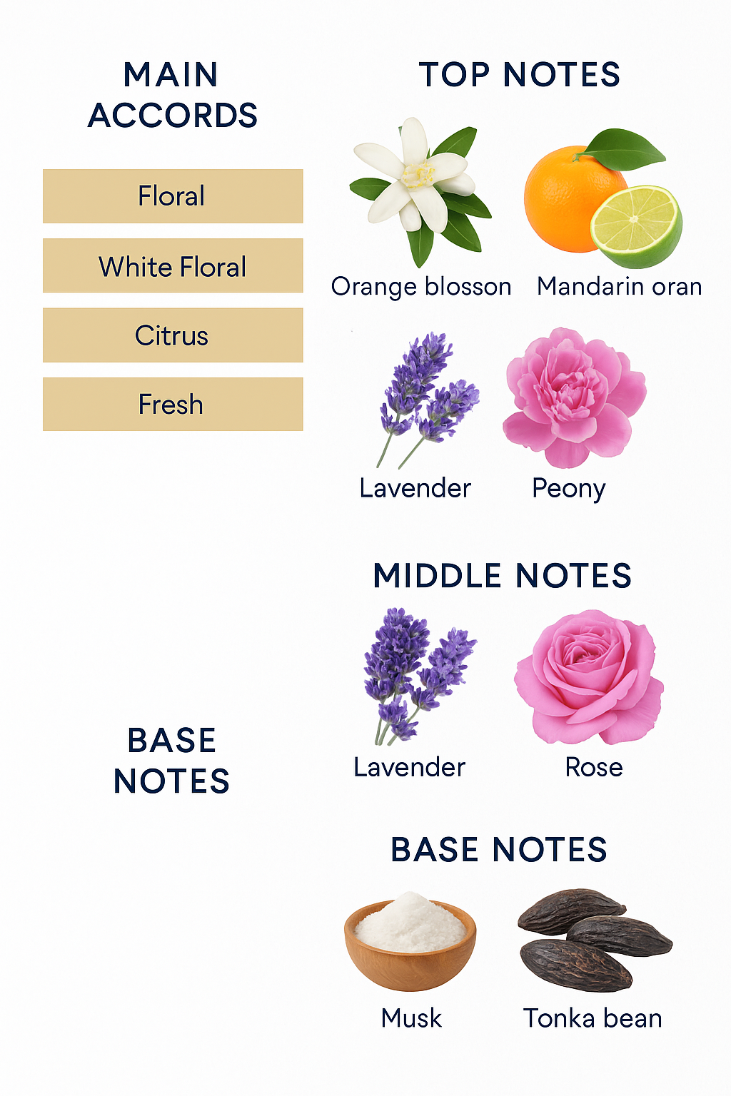 Bottega Veneta Knot Eau de Parfum for Women 75ml