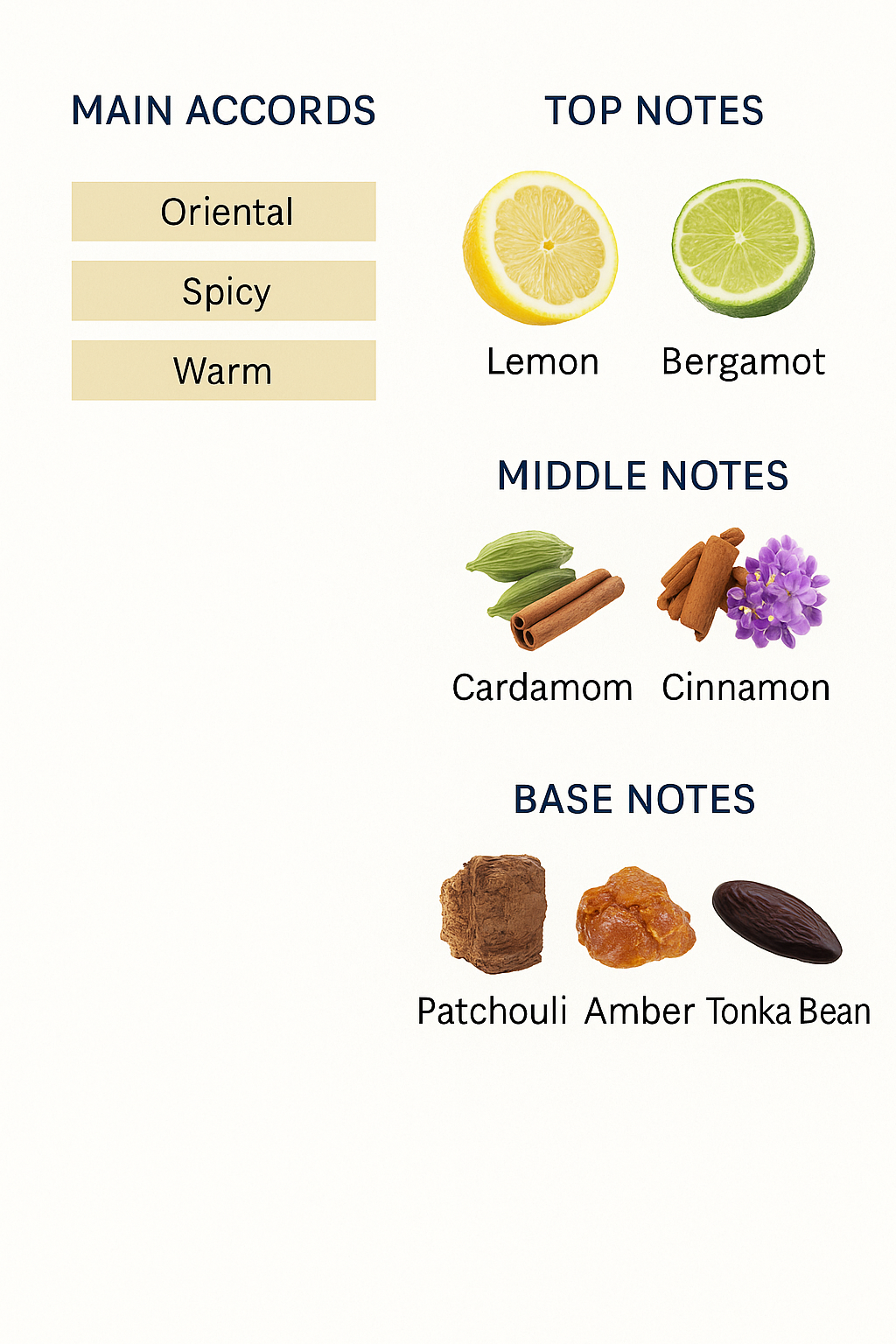 Boucheron Jaipur Homme Eau de Parfum for Men 100ml