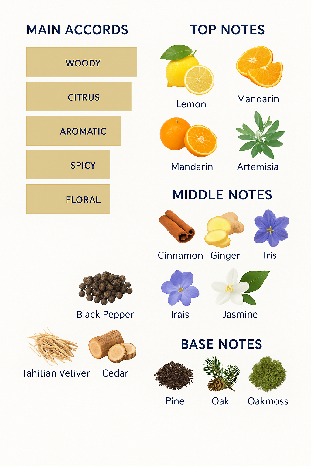 Cartier Declaration Eau de Toilette 100ml