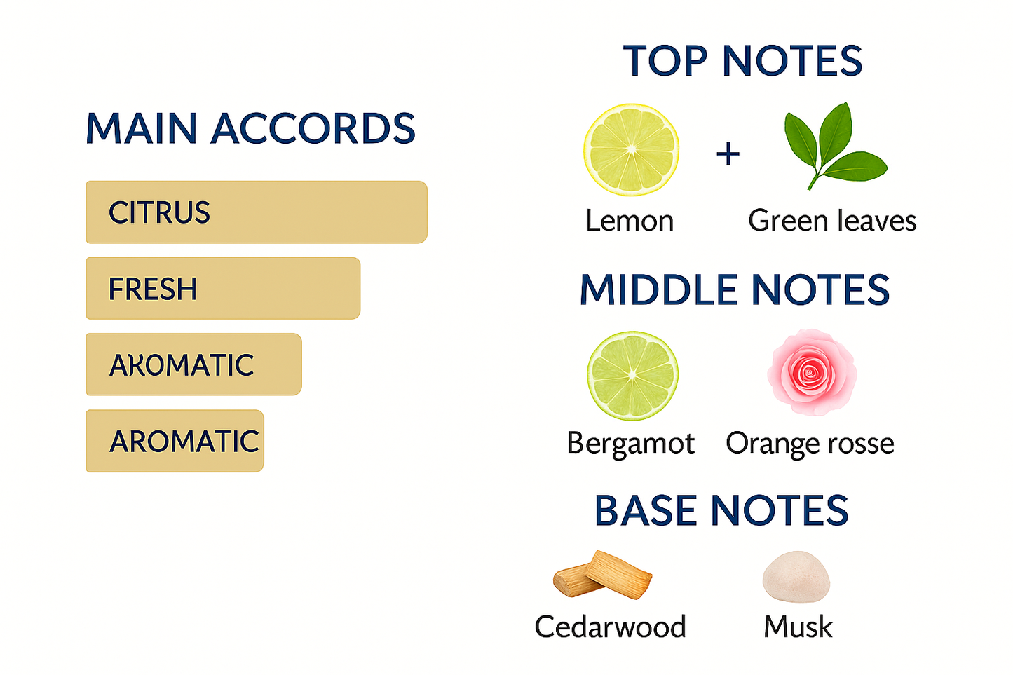 Calvin Klein CK One Eau de Toilette 200ml