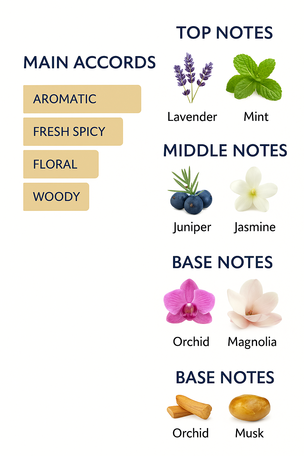 Calvin Klein CK Be Eau de Toilette 200ml