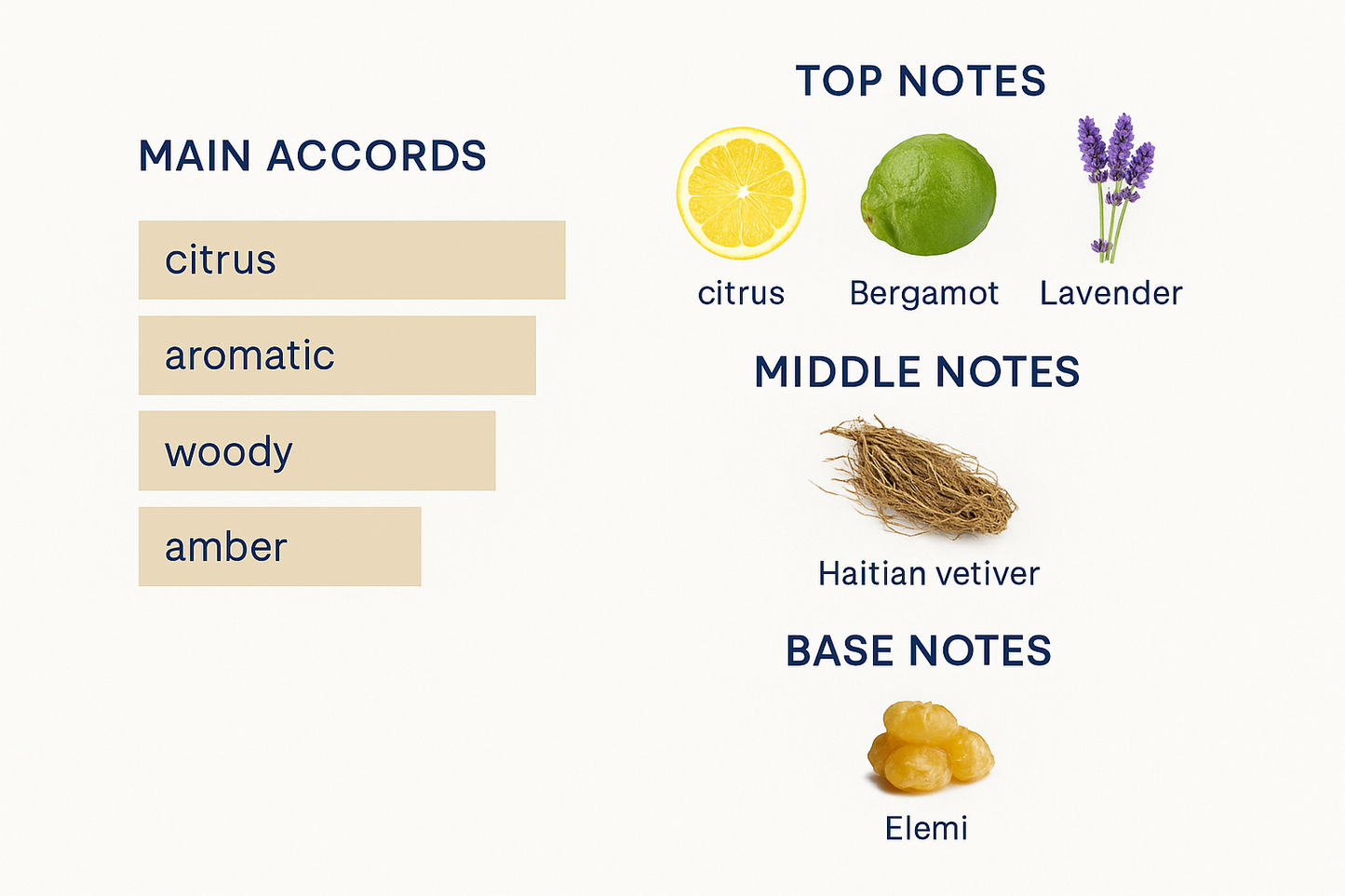 Dior Eau Sauvage Eau de Parfum for Men 100ml