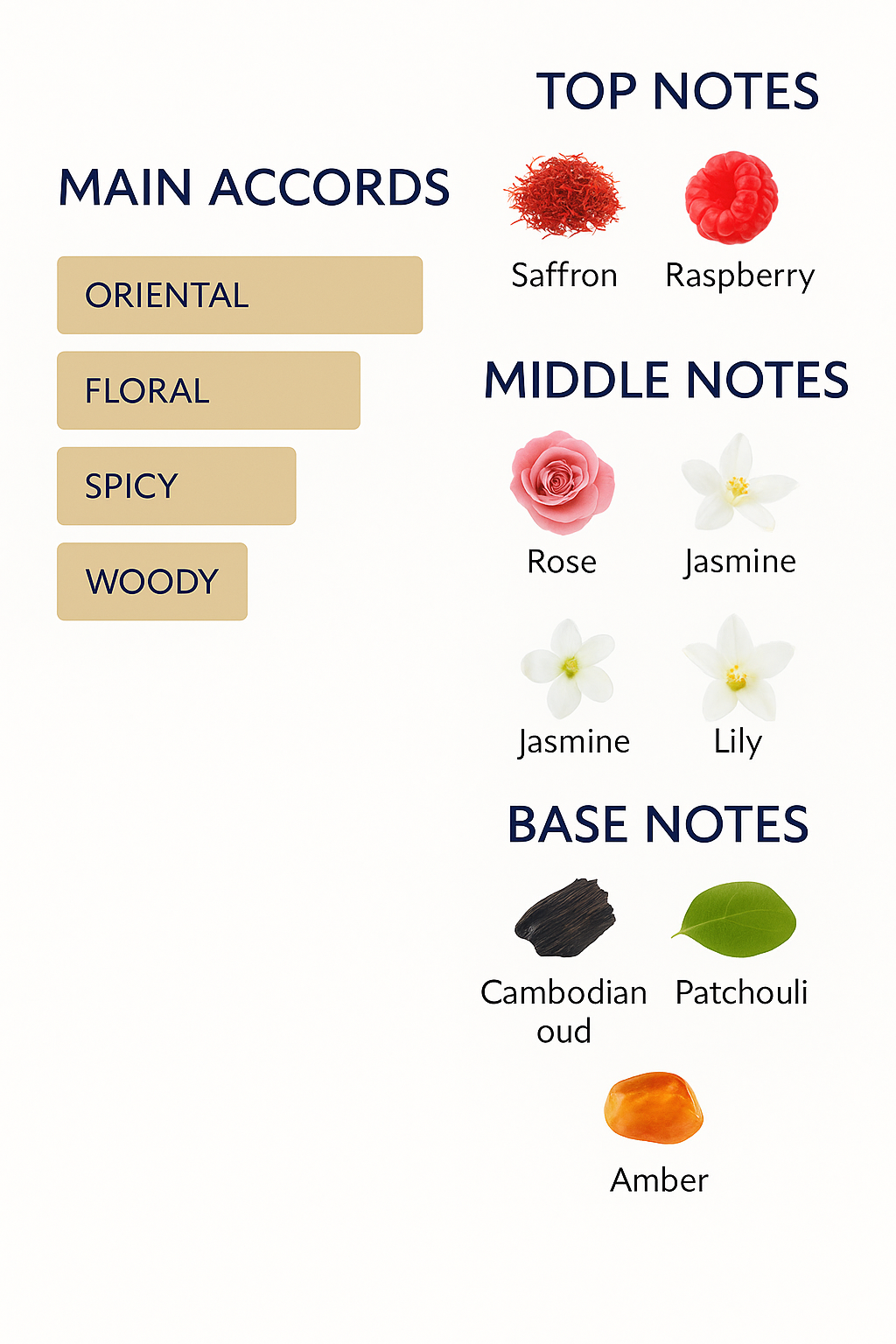 Christian Provenzano Oud Al Fayed Perfume 100ml