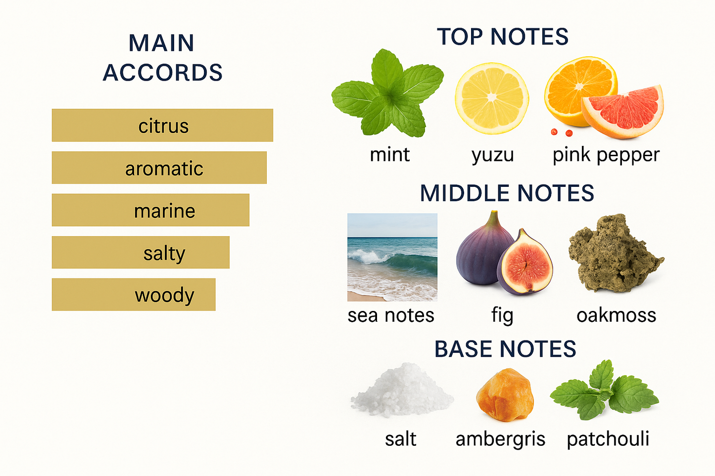 Lorenzo Basaglia Six Sea Extrait Eau de Parfum 50ml