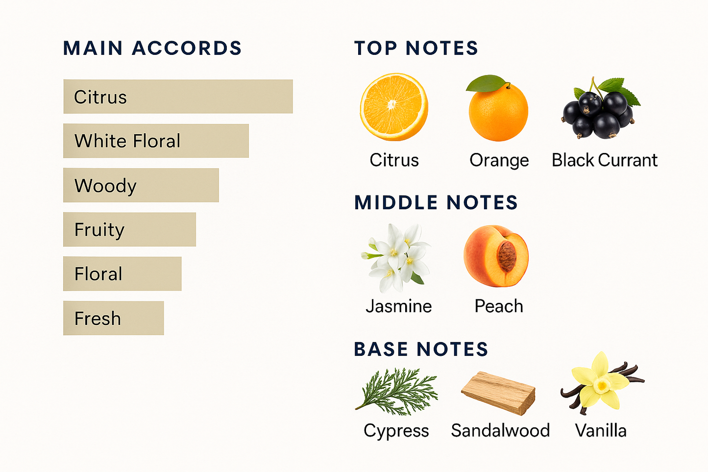 Roberto Cavalli Classic Fragrance Collection