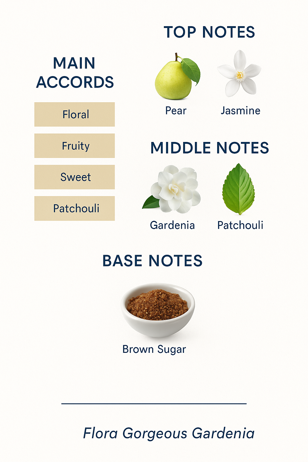 Women's perfume collection