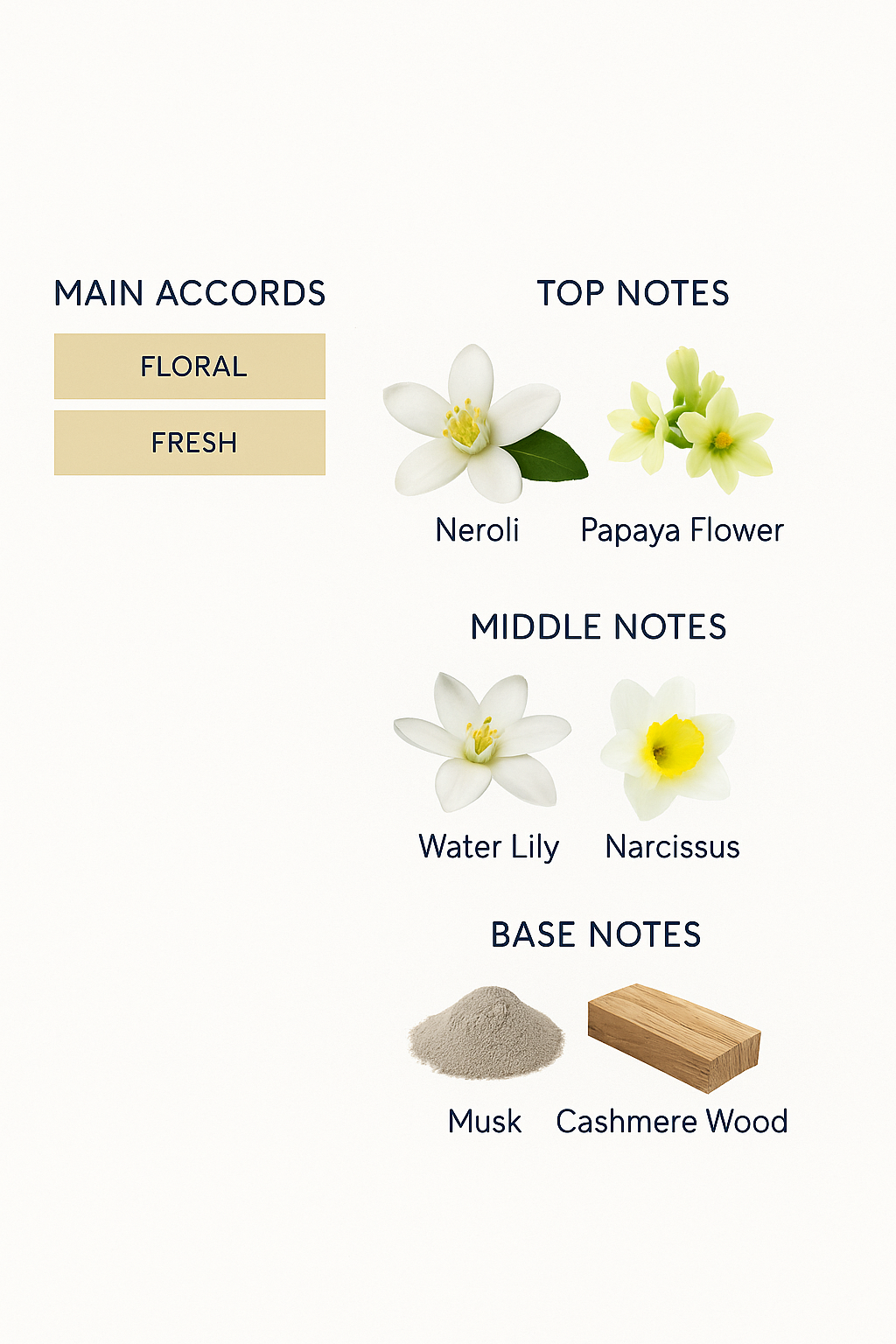 Dolce & Gabbana Dolce Eau de Parfum 75ml