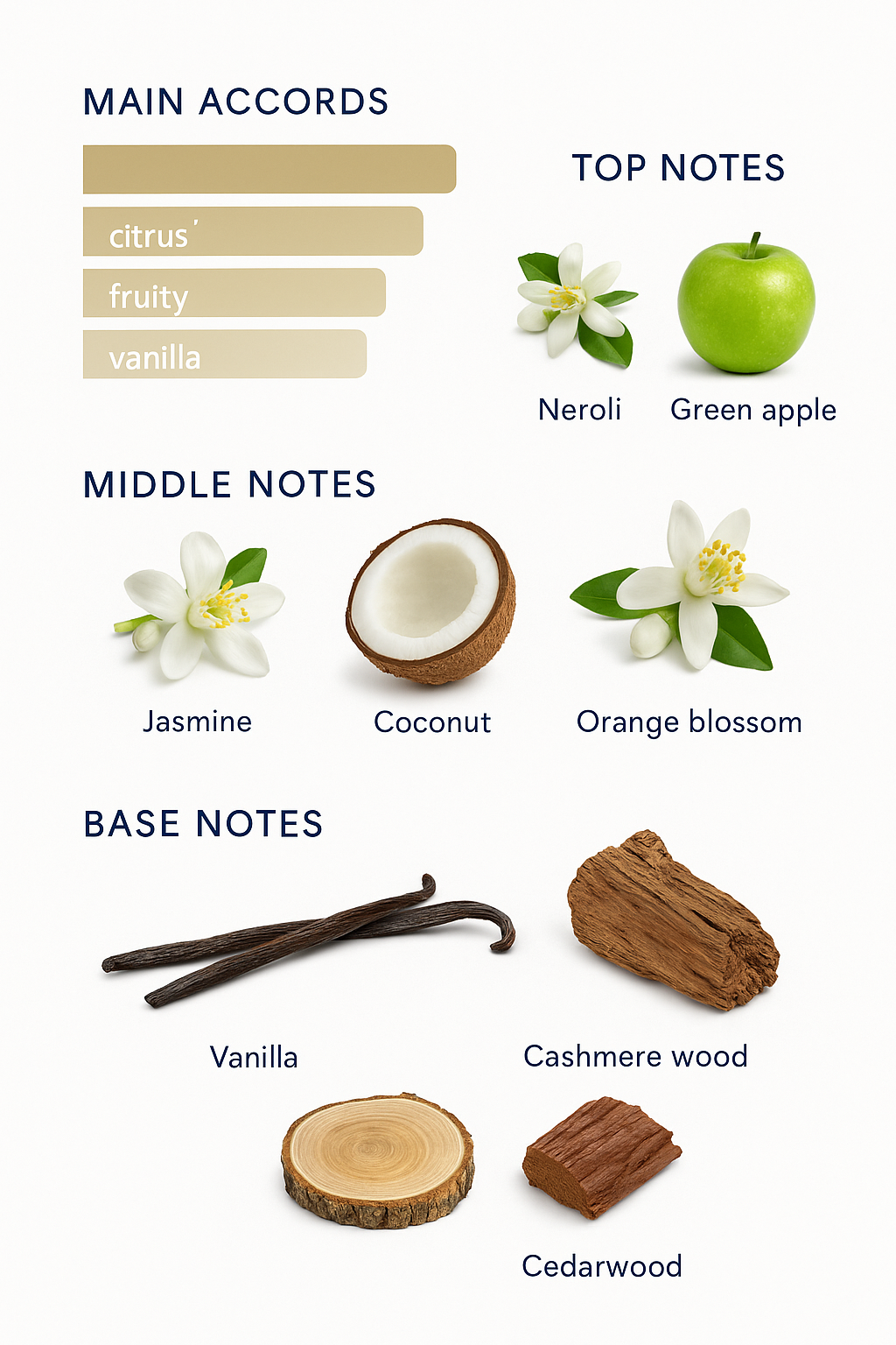 Dolce & Gabbana The Only One Eau de Parfum Intense 100ml