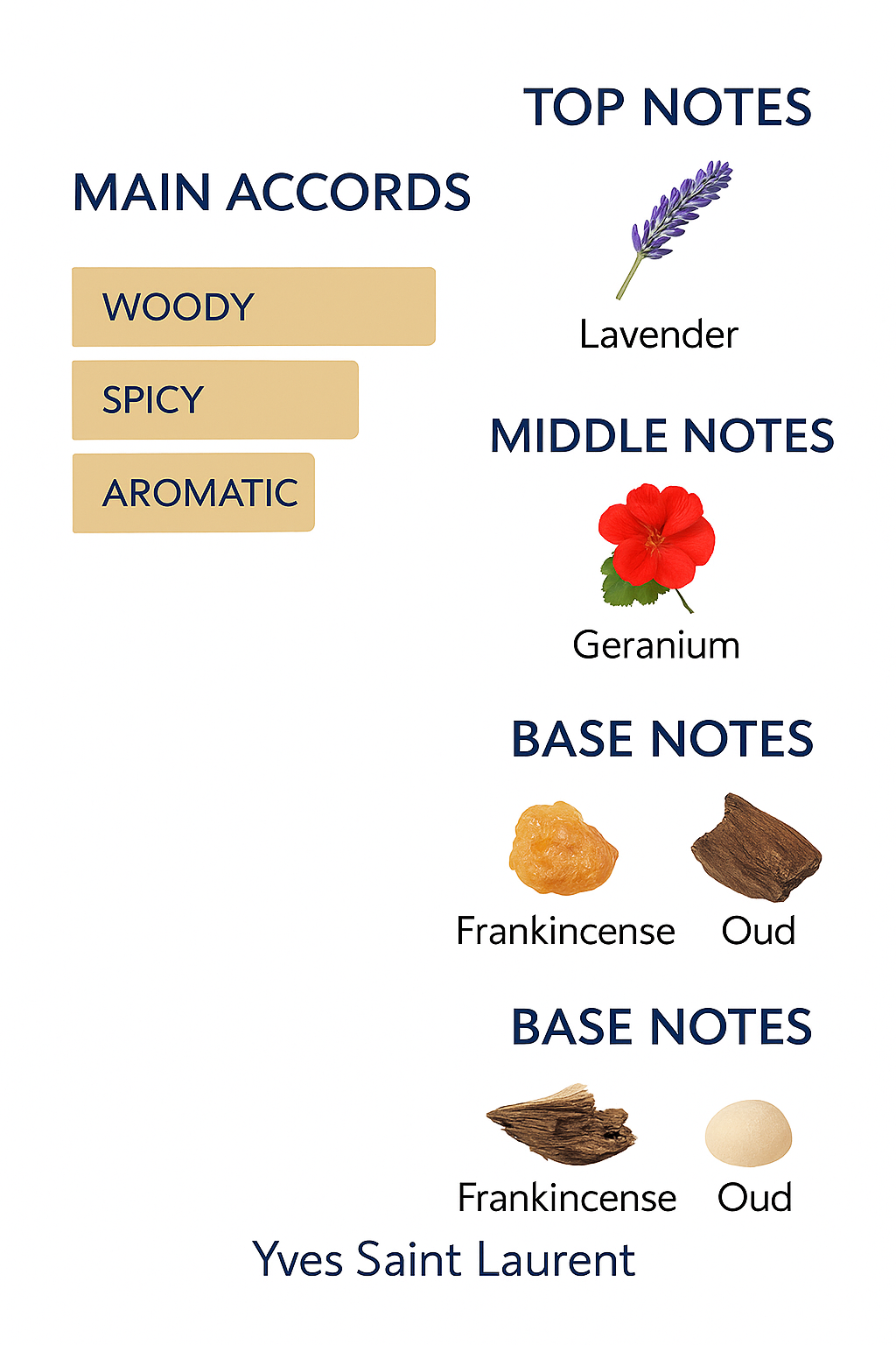 Yves Saint Laurent Y Elixir Eau de Parfum 100ml