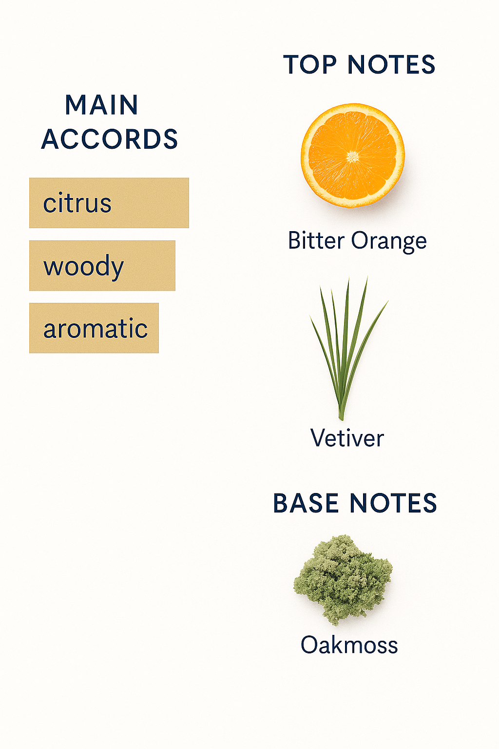 Yves Saint Laurent L'Homme Eau de Parfum 100ml