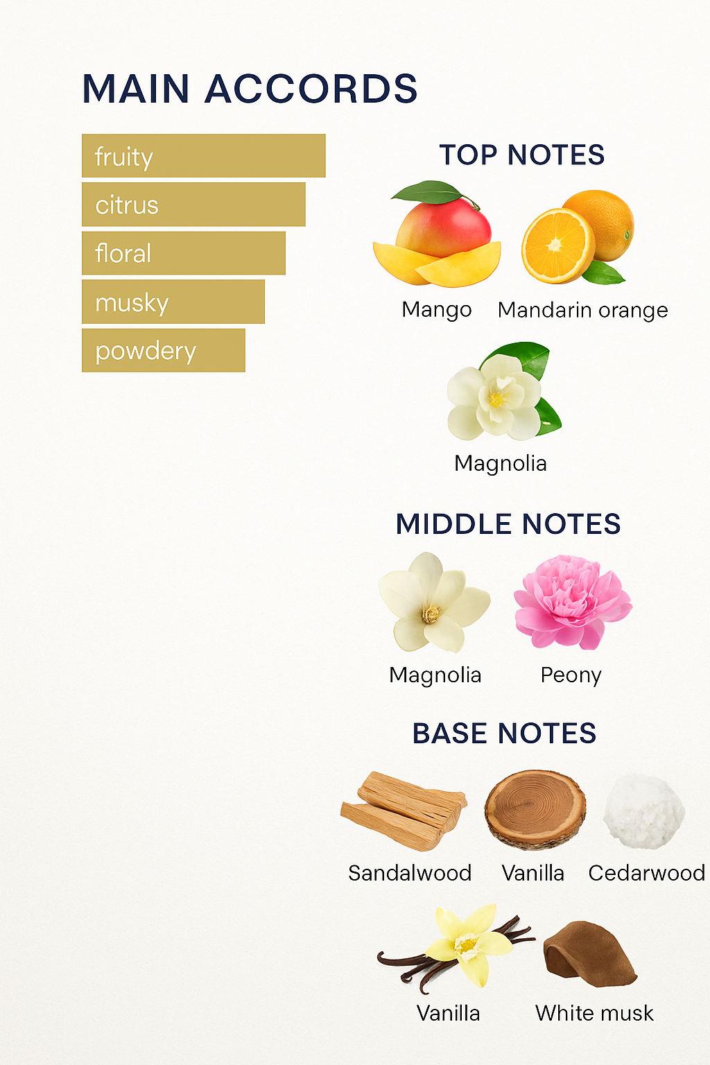 Coach Dreams Sunset Eau de Parfum for Women 90ml