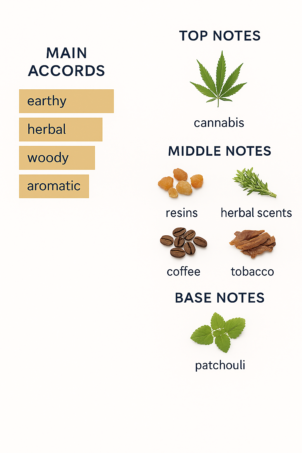 Orto Parisi Stircus Eau de Parfum 50ml