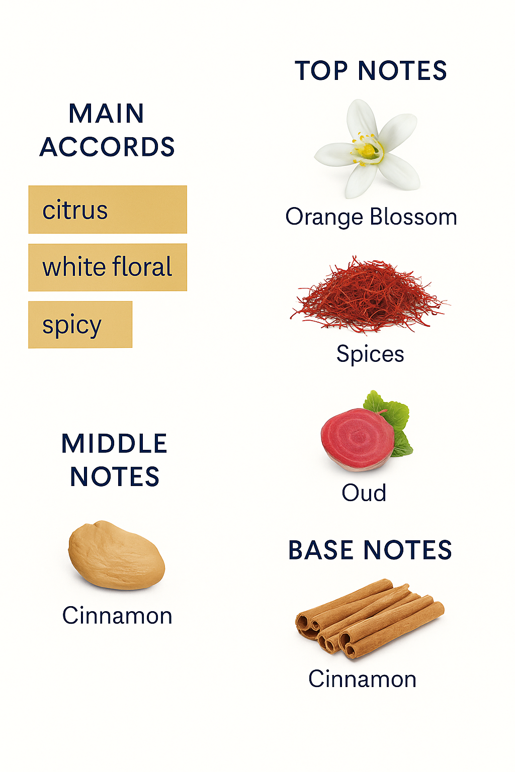 Thomas Kosmala No. 4 Paris Le Amour Eau de Parfum 100ml