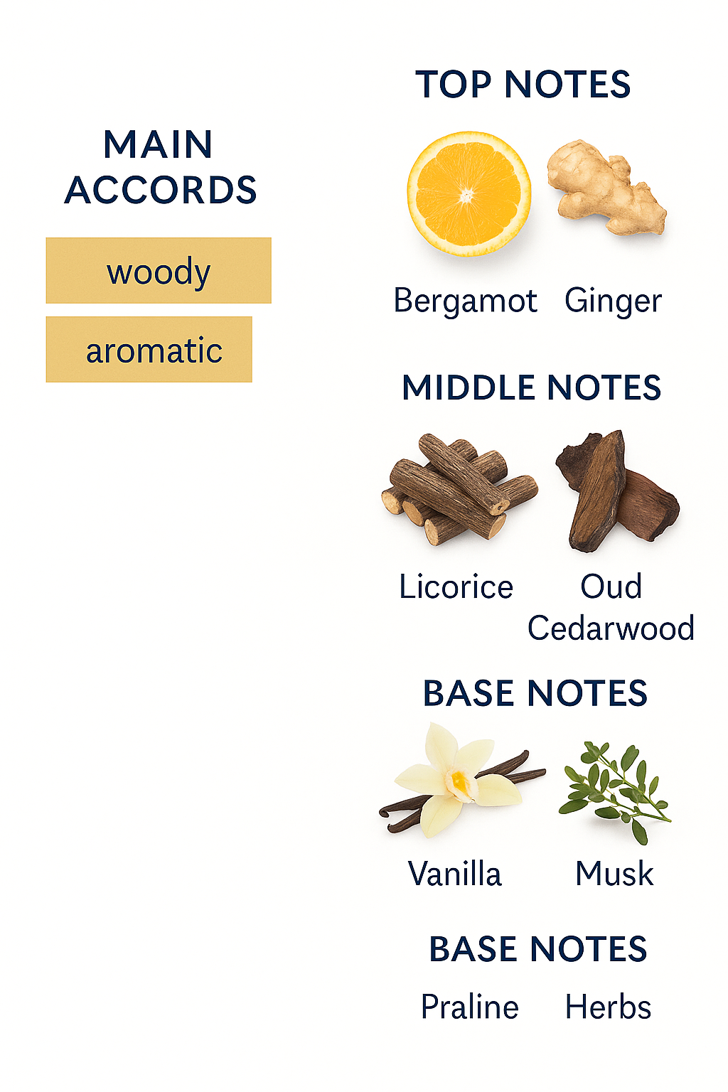 Oud for Happiness by Inishio 100ml