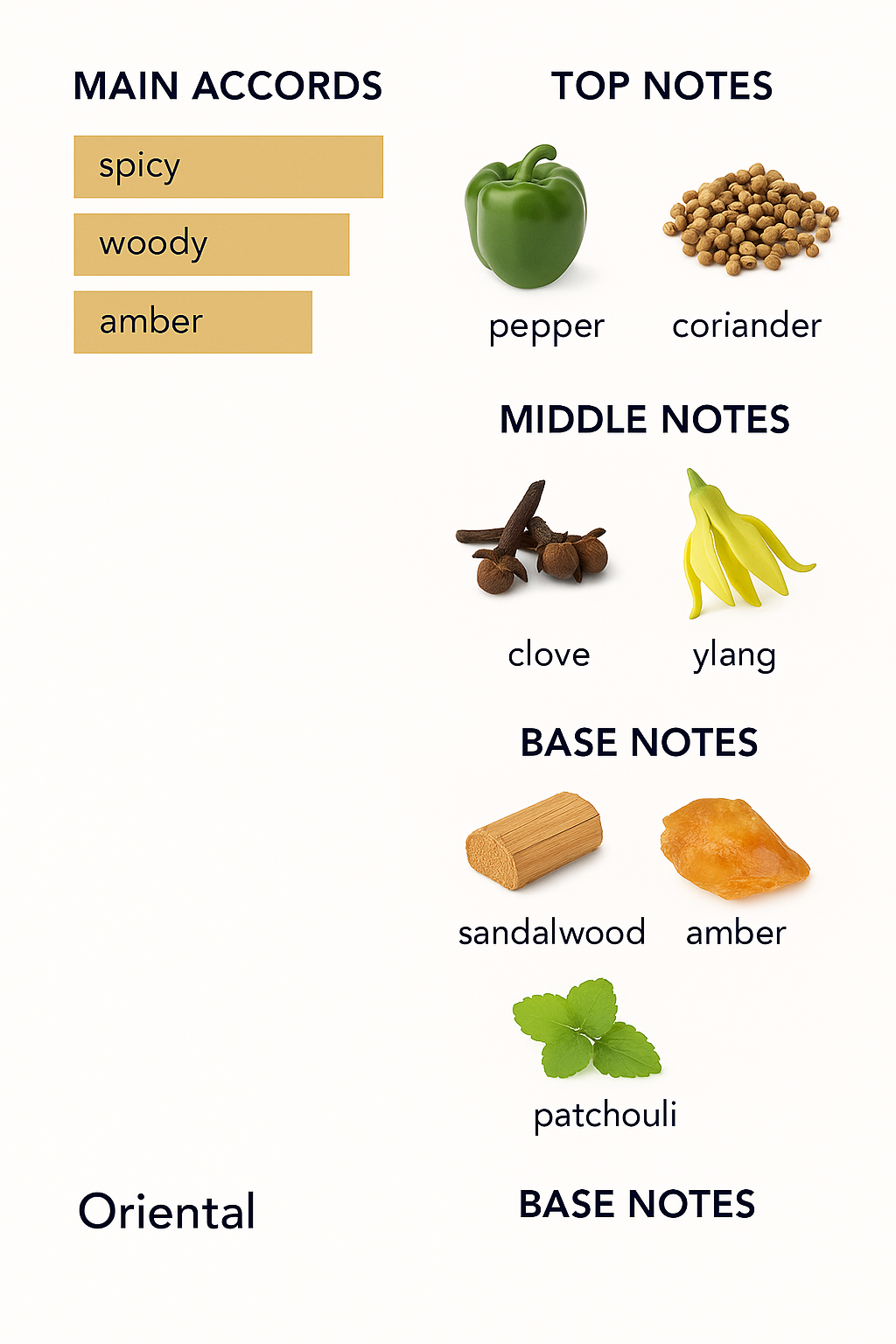 Xerjoff 1888 Casamorati Eau de Parfum 100ml