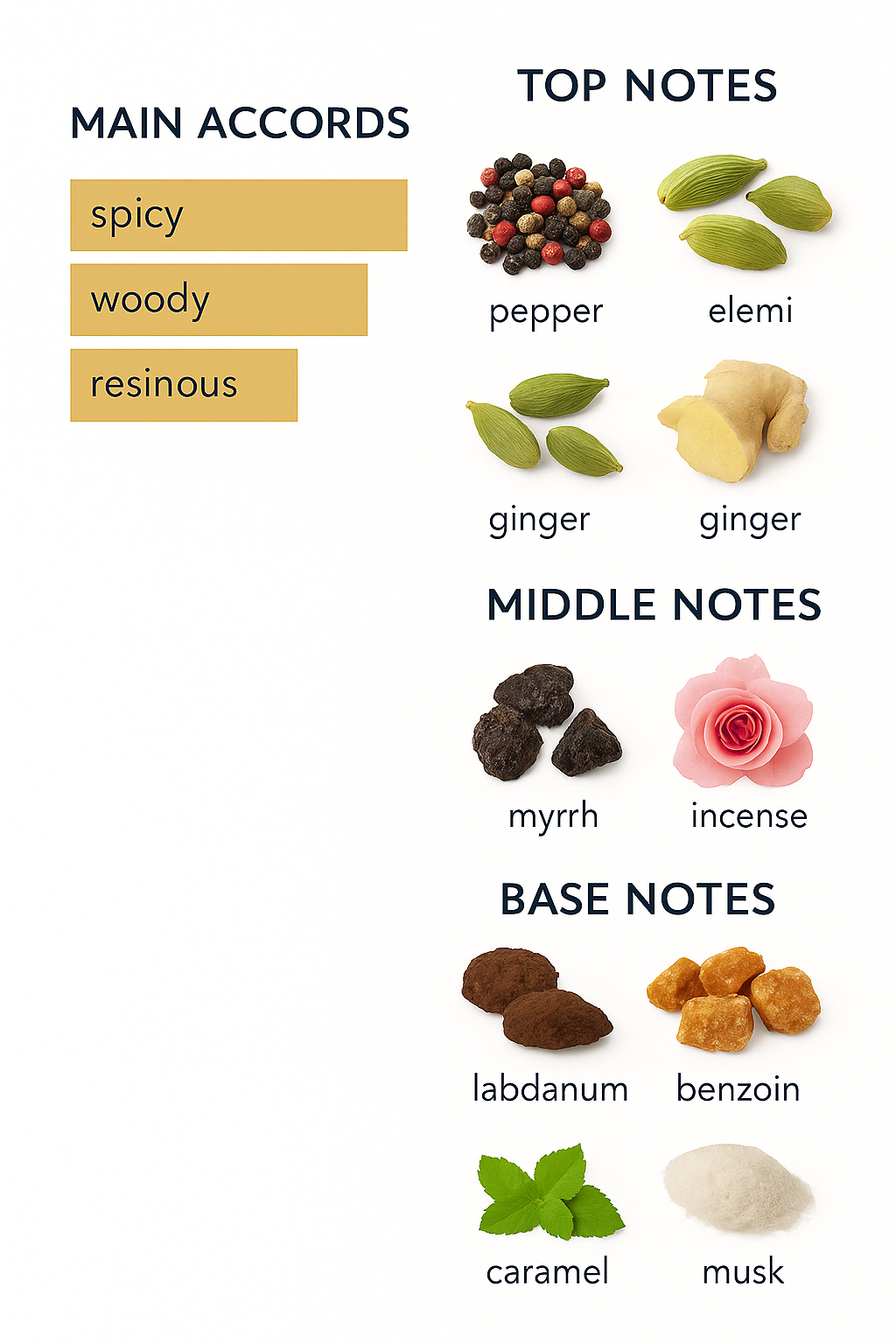 Groove Xcape Xerjoff Perfume 50 ml