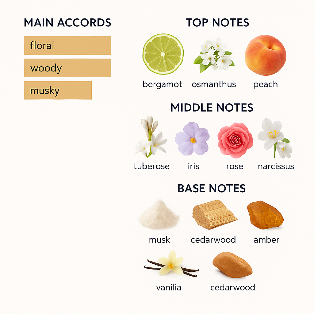 Amado Intuitive Perfume 75ml