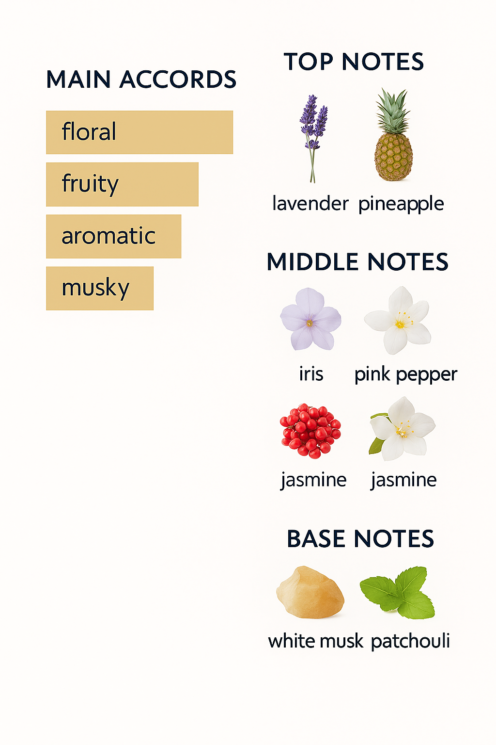 Seduction Oriental Collection Amado 75ml