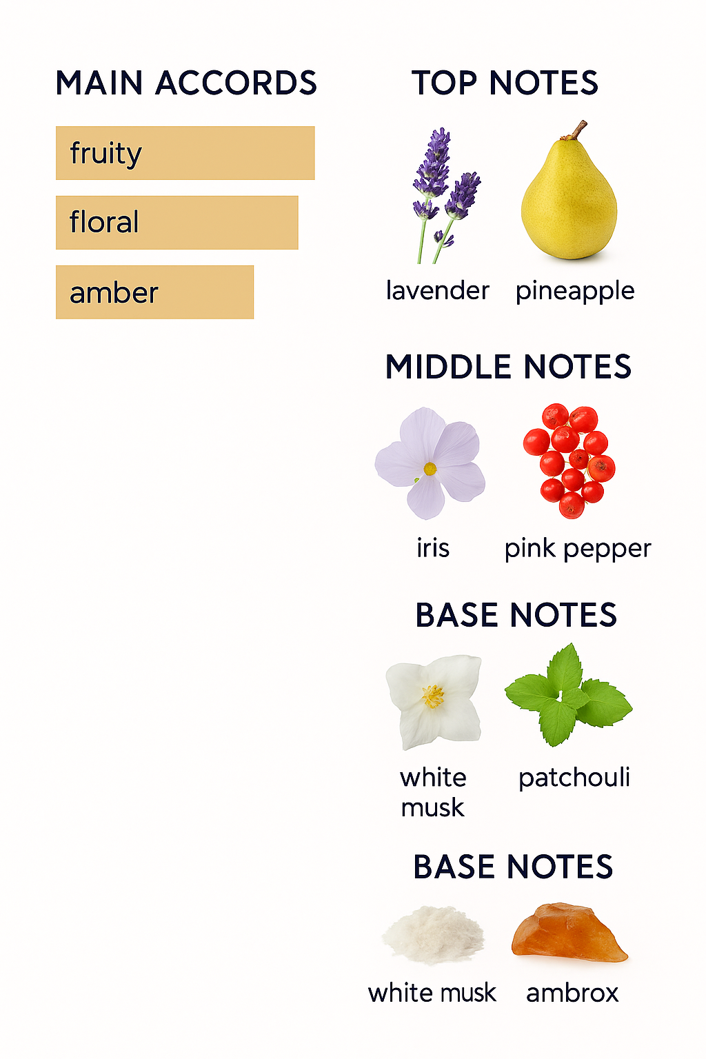 Amado Seduction Perfume 75ml (Tester)