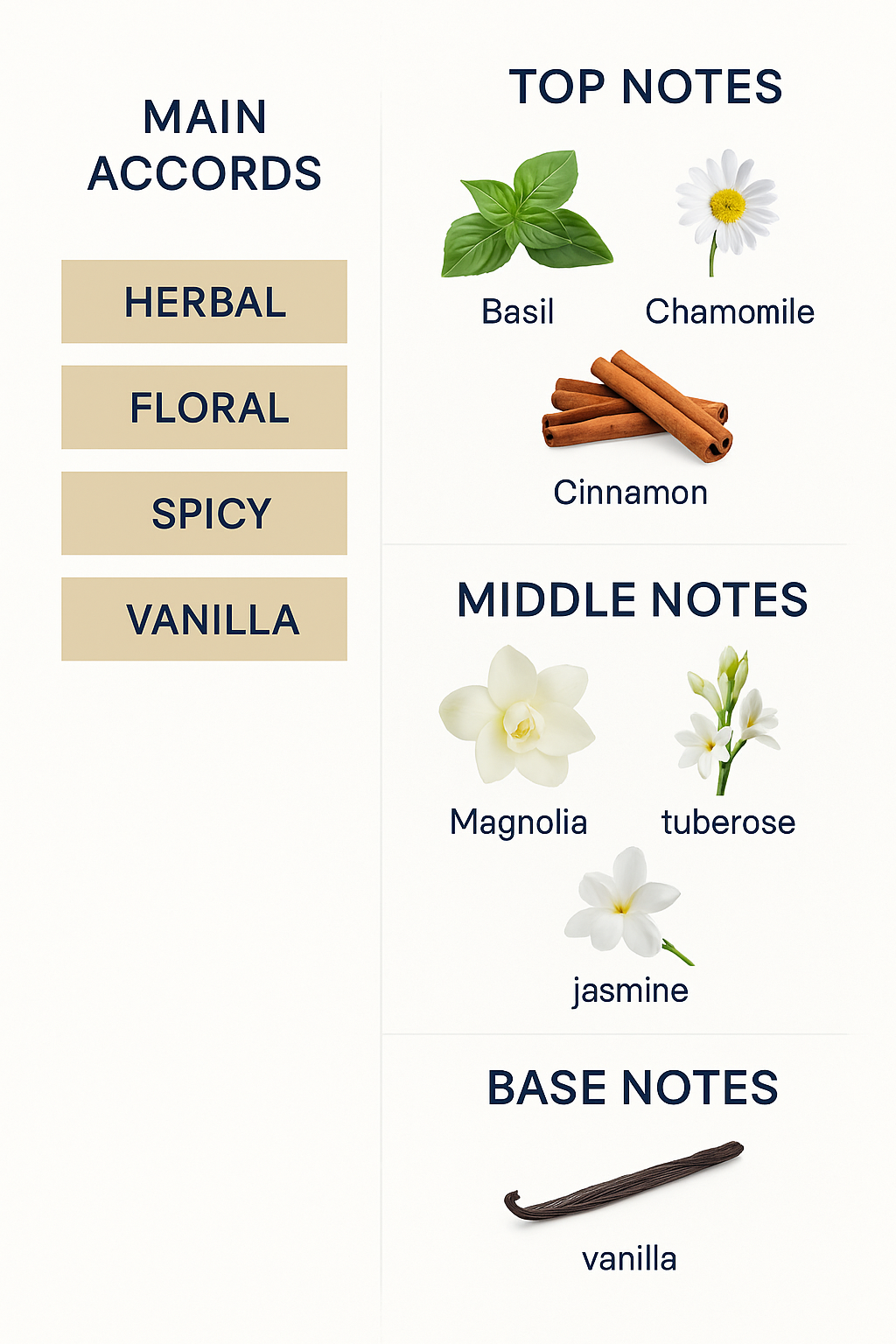 Vogue Amado Eau de Parfum 75ml