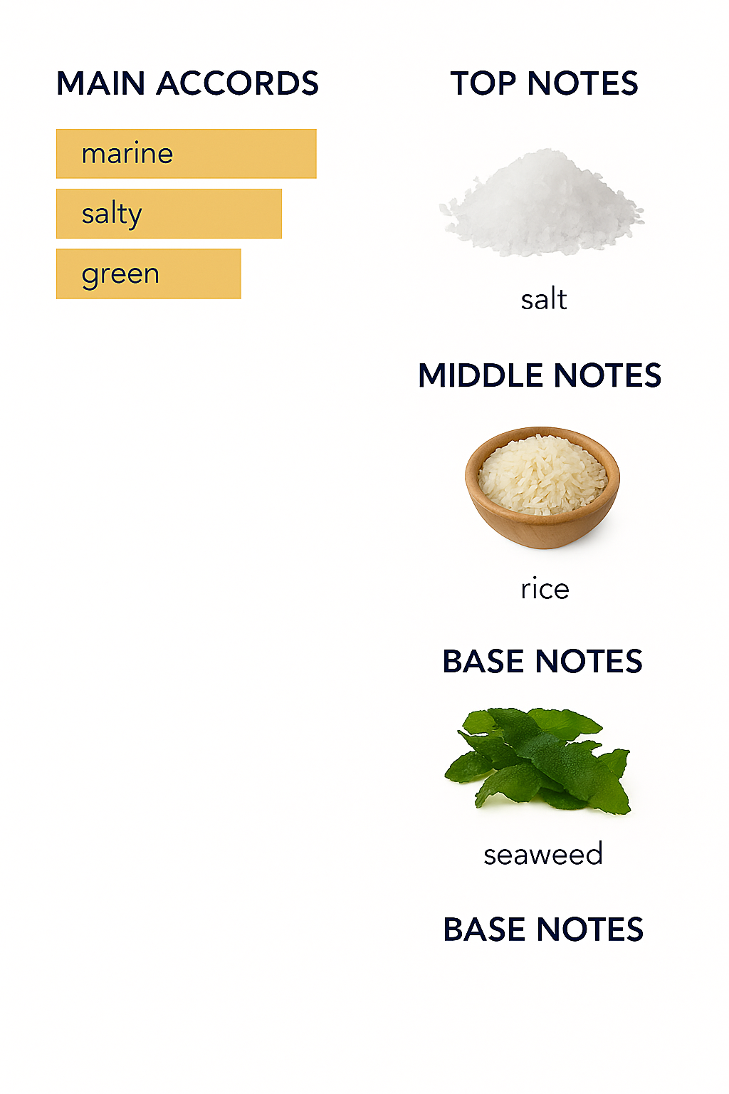 Xerjoff 40 Knots Eau de Parfum for Unisex, 100ml