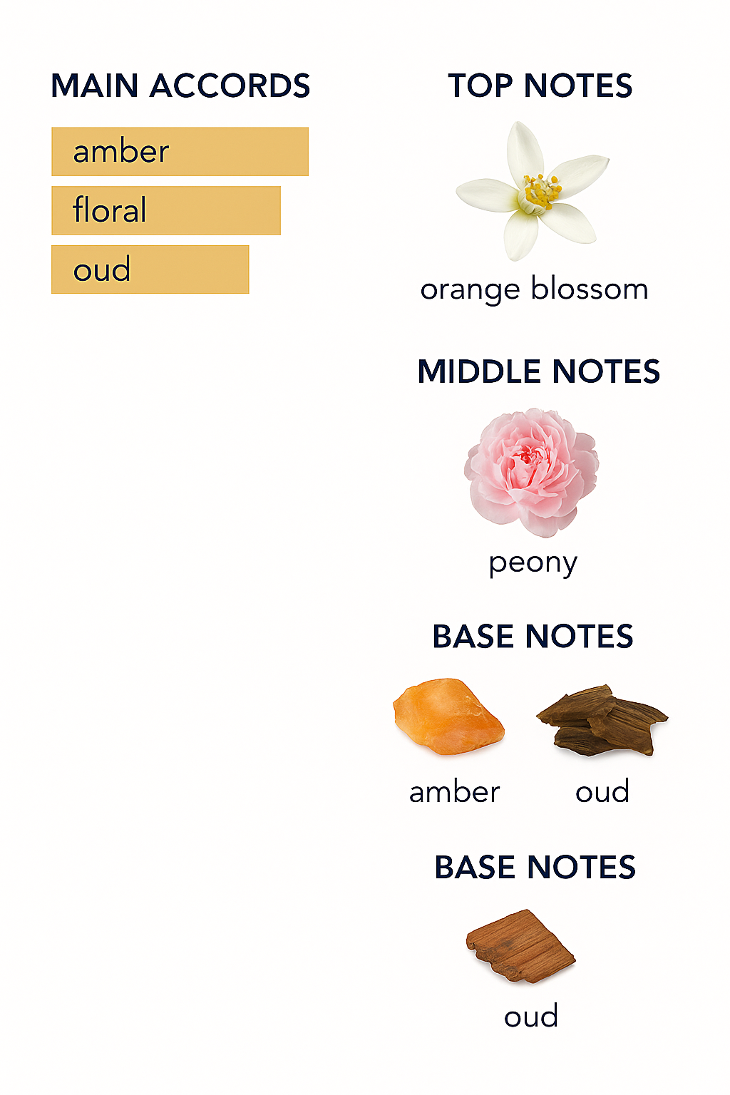 Tiziana Terenzi Nero Oud Extrait de Parfum 100 ml