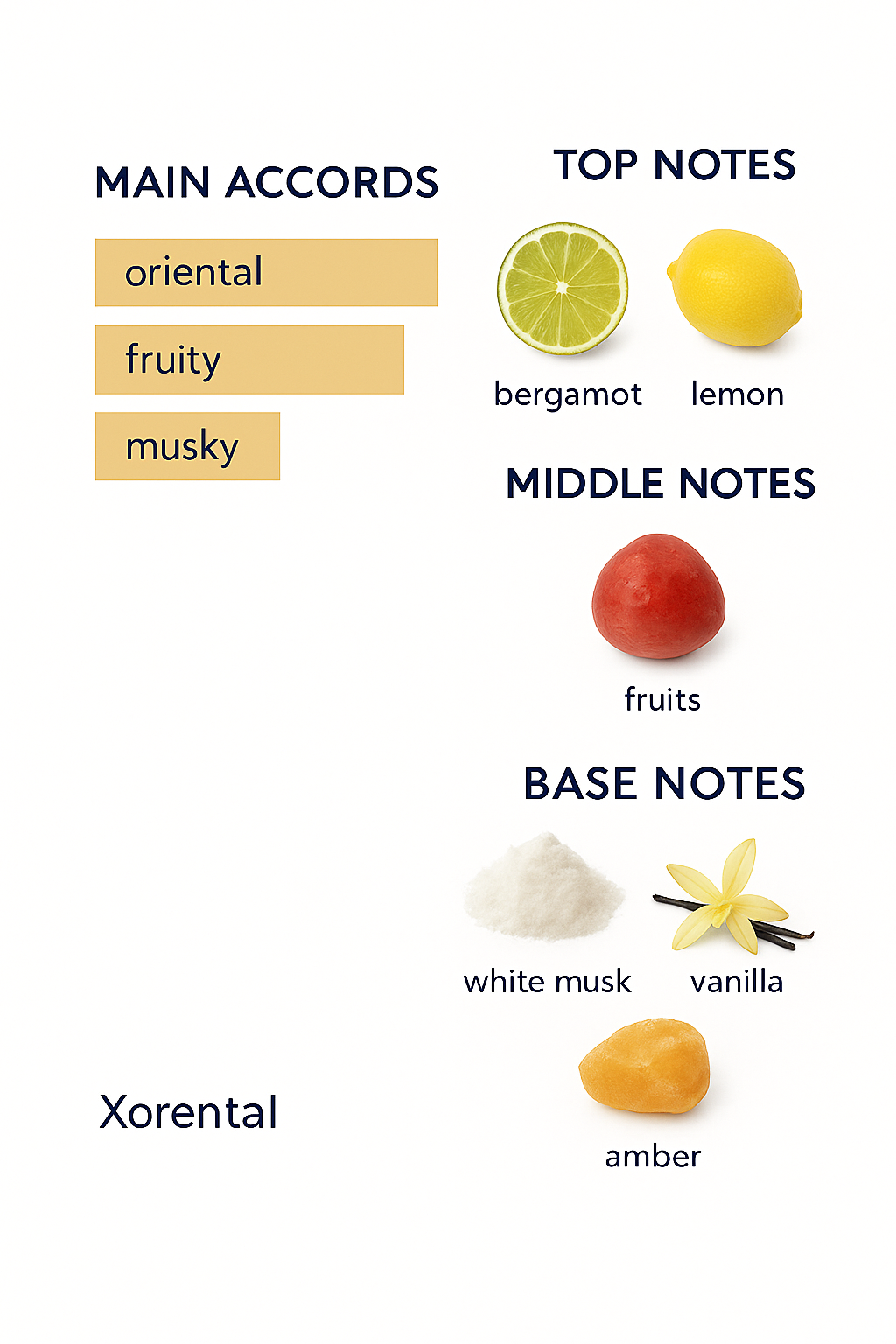 Xerjoff Arba Pura Eau de Parfum 100ml