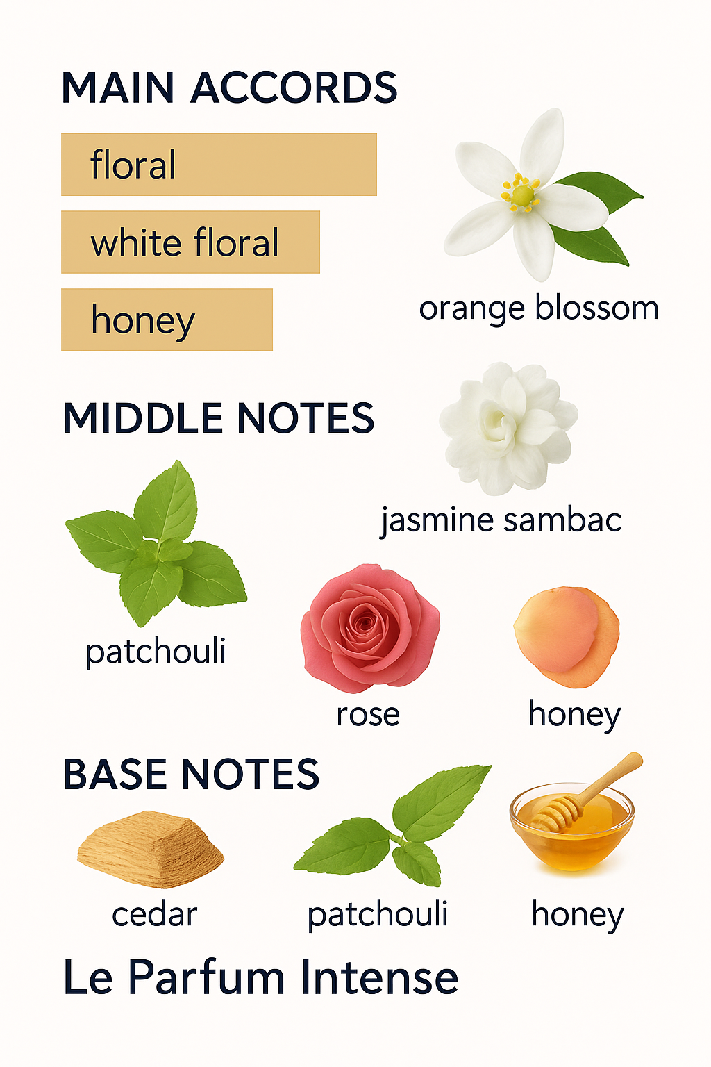 Elie Saab Le Parfum Intense Eau de Parfum for Women 90ml