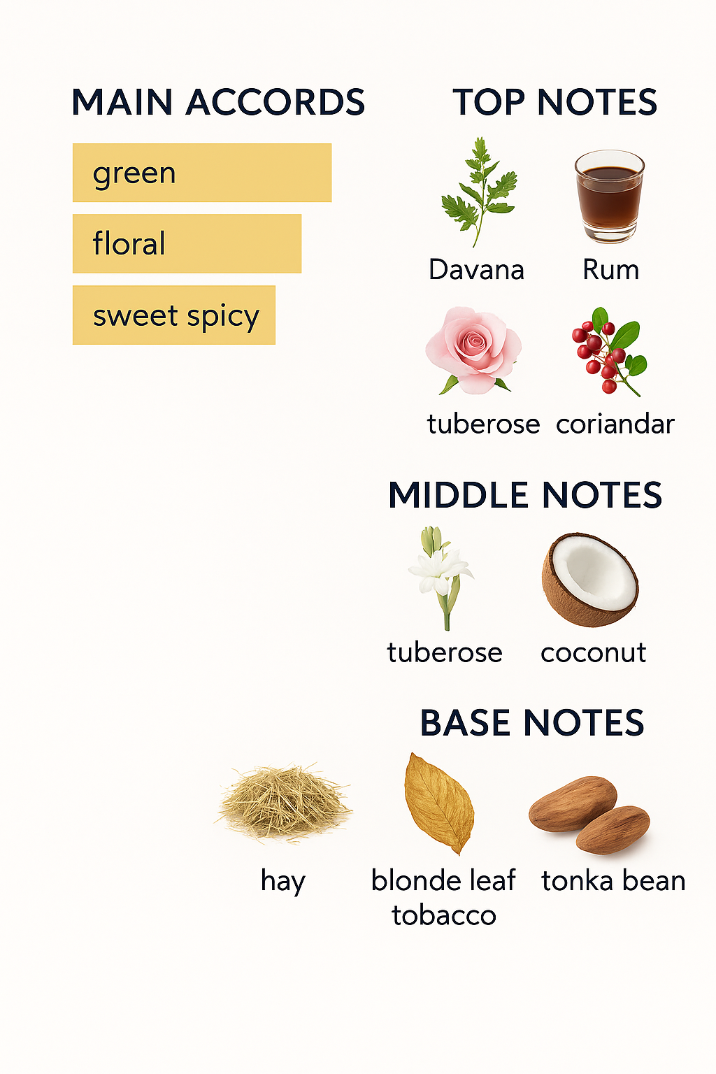 Quattro Pizzi by Casamorati for Unisex - Eau de Parfum, 100ml (Tester)