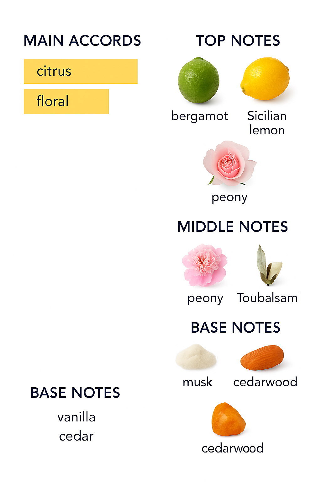 Agent Provocateur Electric Eau de Parfum for Women 100ml