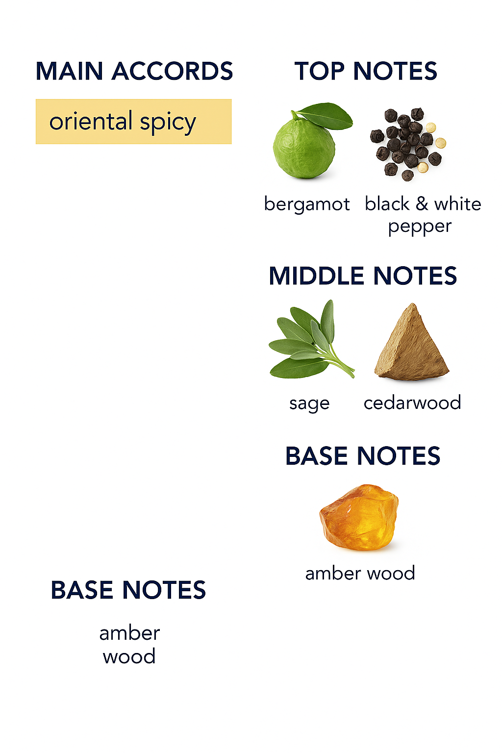 Carolina Herrera Bad Boy Eau de Toilette for men 100ml