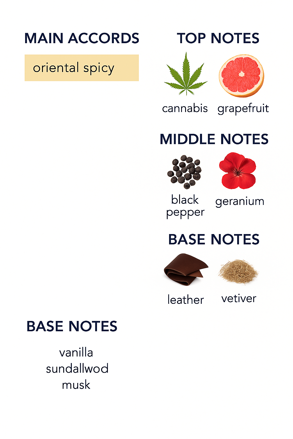 Carolina Herrera Bad Boy Le Parfum Eau de Parfum for Men 100ml