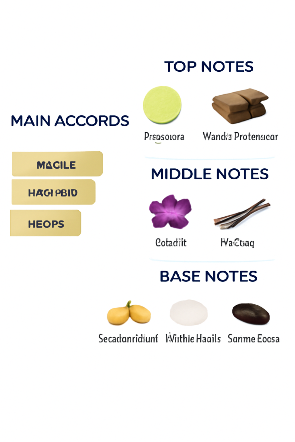 Van Cleef & Arpels Orchid Vanille Eau de Parfum for Women 75ml