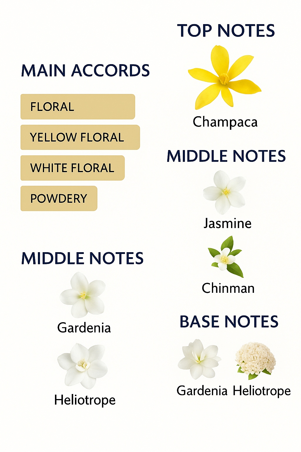 Armond Jean Champaca Eau de Parfum 120 ml Tester